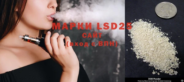 эйфоретик Гусь-Хрустальный