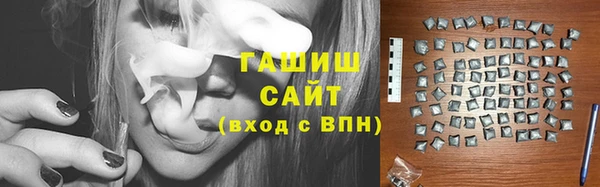 индика Гусев