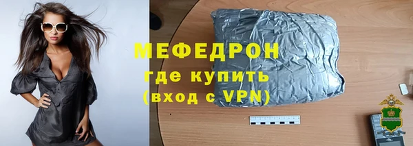 индика Гусев