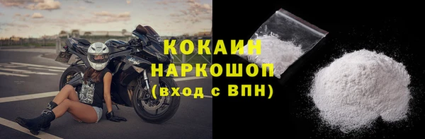 эйфоретик Гусь-Хрустальный
