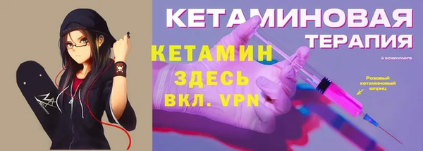 индика Гусев