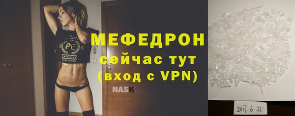 индика Гусев