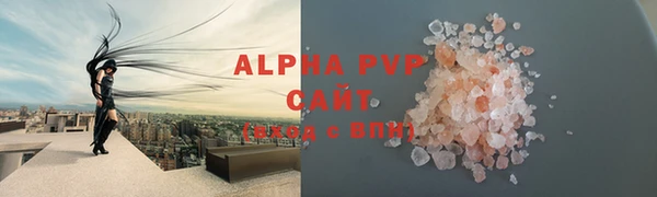 индика Гусев