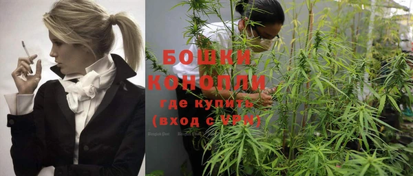 дурь Гусиноозёрск