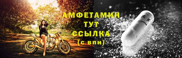 индика Гусев
