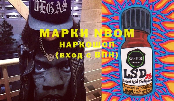 индика Гусев