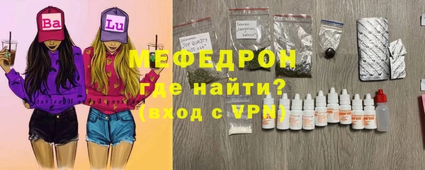 индика Гусев