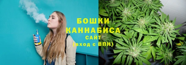 индика Гусев