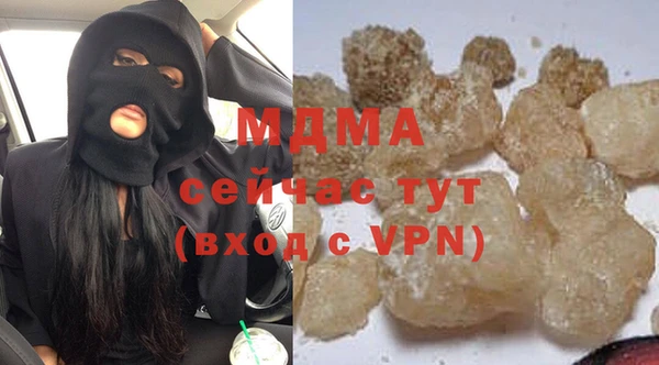 индика Гусев