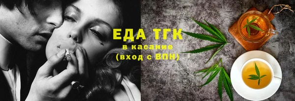 индика Гусев