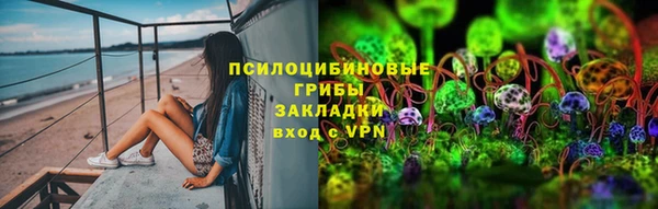 эйфоретик Гусь-Хрустальный