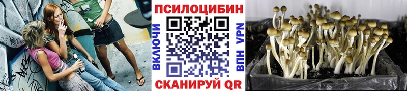 Галлюциногенные грибы ЛСД где купить наркотик Певек